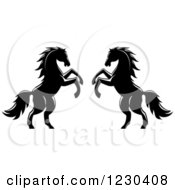 Poster, Art Print Of Two Black And White Rearing Horses