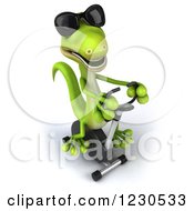 3d Green Gecko In Sunglasses Exercising On A Spin Bike 3