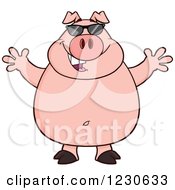 Poster, Art Print Of Happy Pig With Sunglasses And Open Arms