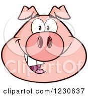 Poster, Art Print Of Happy Smiling Pig Face