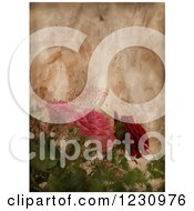 Vintage Aged Paper Background With Roses