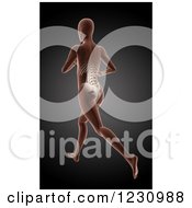 Clipart Of A 3d Running Medical Female Model With Visible Lower Back Royalty Free Illustration