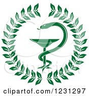 Clipart Of A Green Snake And Medical Caduceus With A Wreath Royalty Free Vector Illustration