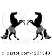 Poster, Art Print Of Two Black And White Rearing Horses 4