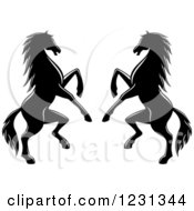 Poster, Art Print Of Two Black And White Rearing Horses 3