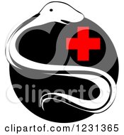 Clipart Of A Medical Snake And First Aid Cross Royalty Free Vector Illustration