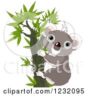Poster, Art Print Of Happy Koala In A Tree