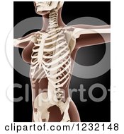 Clipart Of A 3d Cropped Medical Female Xray With Visible Skeleton On Black Royalty Free Illustration by KJ Pargeter