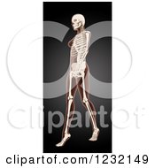 Clipart Of A 3d Medical Female Xray Walking With Visible Skeleton On Black Royalty Free Illustration