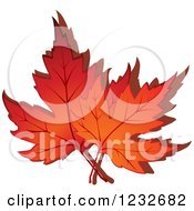 Clipart Of Orange Autumn Maple Leaves And Shadow Royalty Free Vector Illustration by Vector Tradition SM