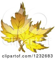 Clipart Of Yellow Autumn Maple Leaves And Shadow Royalty Free Vector Illustration by Vector Tradition SM