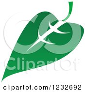 Clipart Of A Green Leaf And Reflection Logo 12 Royalty Free Vector Illustration