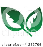 Clipart Of A Green Leaf And Reflection Logo 5 Royalty Free Vector Illustration