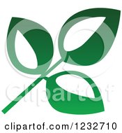 Clipart Of A Green Leaf And Reflection Logo 9 Royalty Free Vector Illustration