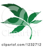 Clipart Of A Green Leaf And Reflection Logo 11 Royalty Free Vector Illustration