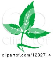 Clipart Of A Green Leaf And Reflection Logo 28 Royalty Free Vector Illustration
