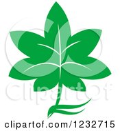 Clipart Of A Green Leaf And Reflection Logo 29 Royalty Free Vector Illustration