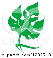 Clipart Of A Green Leaf And Reflection Logo 32 Royalty Free Vector Illustration
