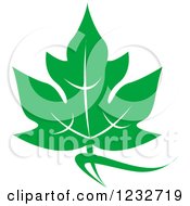 Clipart Of A Green Leaf And Reflection Logo 33 Royalty Free Vector Illustration