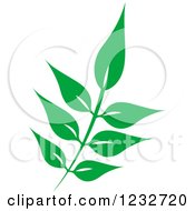 Clipart Of A Green Leaf And Reflection Logo 34 Royalty Free Vector Illustration