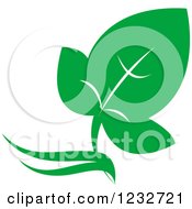 Clipart Of A Green Leaf And Reflection Logo 35 Royalty Free Vector Illustration