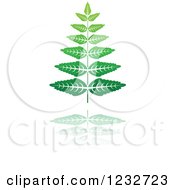 Green Fern Plant And Reflection Logo