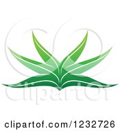 Poster, Art Print Of Green Aloe Plant Logo