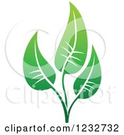 Clipart Of A Green Leaf And Reflection Logo 24 Royalty Free Vector Illustration