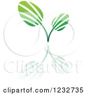 Poster, Art Print Of Green Leaf And Reflection Logo 5