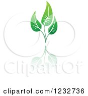 Clipart Of A Green Leaf And Reflection Logo 6 Royalty Free Vector Illustration