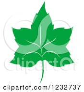 Clipart Of A Green Leaf And Reflection Logo 36 Royalty Free Vector Illustration