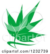 Clipart Of A Green Leaf And Reflection Logo 39 Royalty Free Vector Illustration