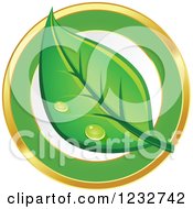 Poster, Art Print Of Dewy Green Leaf Logo 2