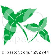 Clipart Of A Green Leaf And Reflection Logo 40 Royalty Free Vector Illustration