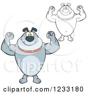 Poster, Art Print Of Strong Gray And Outlined Bulldog Flexing His Arms