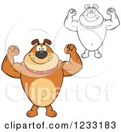 Clipart Of A Strong Brown And Outlined Bulldog Flexing His Arms Royalty Free Vector Illustration