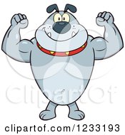 Poster, Art Print Of Strong Gray Bulldog Flexing His Arms