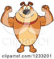 Clipart Of A Strong Brown Bulldog Flexing His Arms Royalty Free Vector Illustration