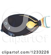 Clipart Of A Achilles Tang Fish Royalty Free Vector Illustration