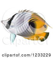 Poster, Art Print Of Threadfin Butterflyfish