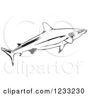 Poster, Art Print Of Black And White Grey Reef Shark
