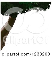 Poster, Art Print Of Deciduous Tree