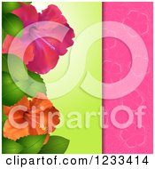 Poster, Art Print Of Hibiscus Flower Panel Over Pink