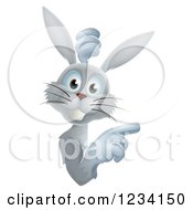 Poster, Art Print Of Gray Bunny Rabbit Looking Around And Pointing To A Sign