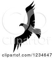 Poster, Art Print Of Black And White Eagle Falcon Or Hawk Flying