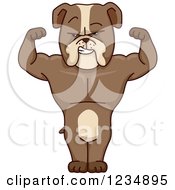 Clipart Of A Strong Bulldog Flexing And Standing Royalty Free Vector Illustration