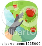 Poster, Art Print Of Gloved Hand Picking Apples From A Tree