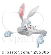 Poster, Art Print Of Gray Bunny Rabbit Pointing Down Over A Sign