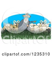 Pointing Shepherd In Tall Grass With Sheep Rams