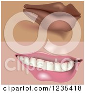 Clipart Of Female Mouths 3 Royalty Free Vector Illustration by dero